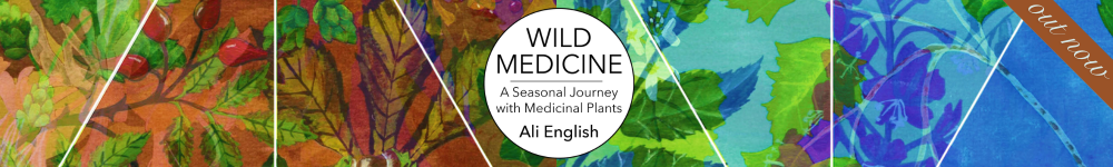 Wild Medicine banner - out now